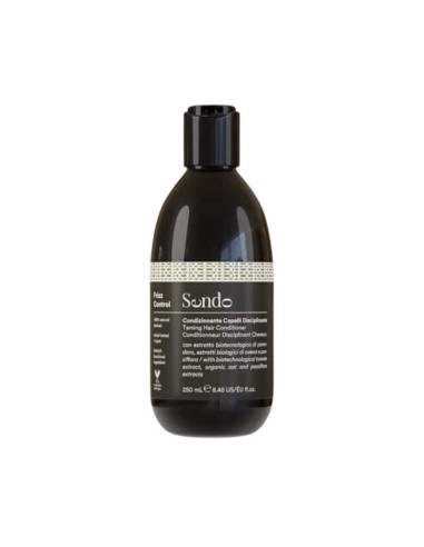 ACONDICIONADOR FRIZZ CONTROL 250ML